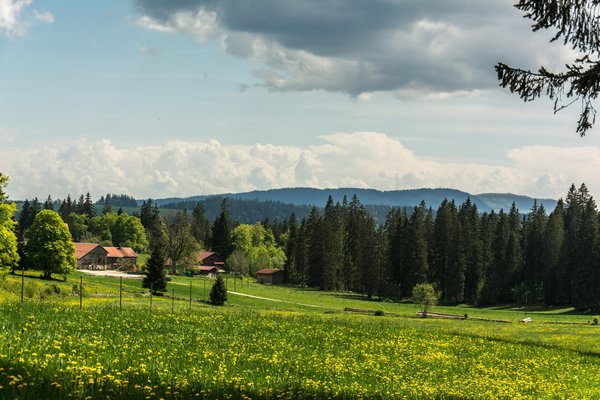 Tout ce que vous devez savoir sur les terrains à vendre dans les Landes, France