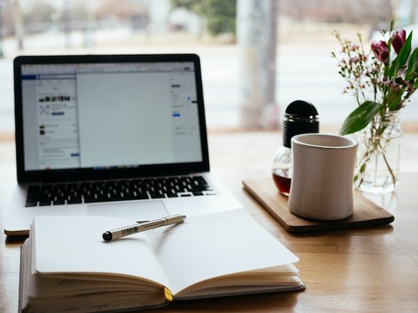 Quels sont les pièges à éviter lorsqu'on consulte des sites et annonces de maisons à vendre à Lille ?