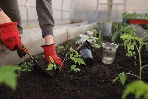 Comment maîtriser le jardinage dans votre nouvelle maison